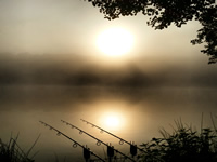 mistymorning